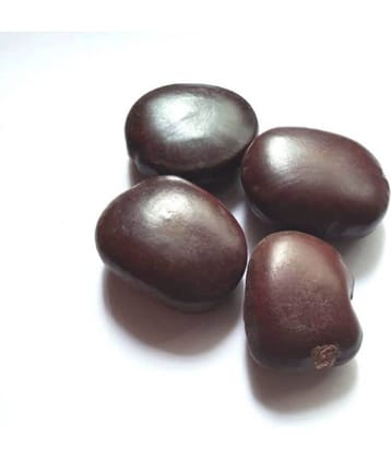 VINARGHYA Mountain Tamarind Seed / Bada Jangali Imli Imali Beej / Hatti Bij 100 gm