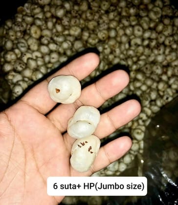 Premium Jumbo Fox Nuts (6 Suta+, 1kg) | High-Quality Makhana | Healthy Snacking