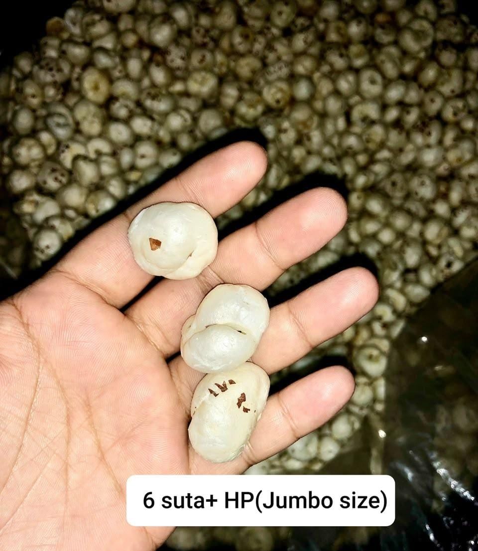Premium Jumbo Fox Nuts (6 Suta+, 1kg) | High-Quality Makhana | Healthy Snacking