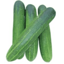 Cucumber
