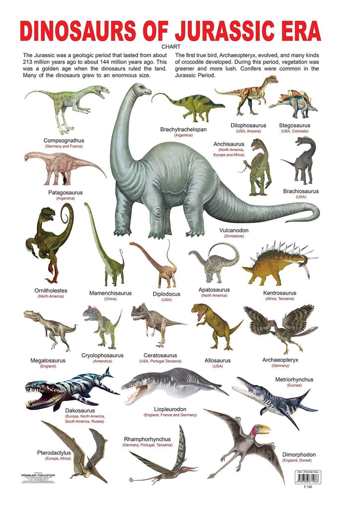 Dinosaurs of Jurassic Era Educational Wall Chart For Kids - Both Side Hard Laminated (Size 48 x 73 cm) [Wall Chart] Dreamland Publications - Stationery | Buy online on ZillyBuy