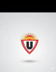 USHA TRADERS USHA TRADERS