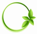 Organic Oasis