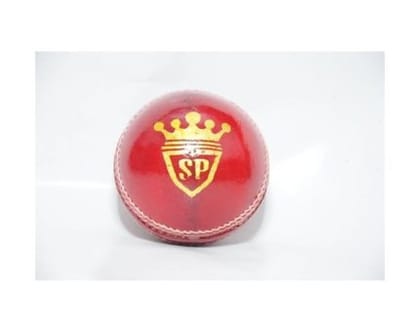 Shredded Prophysique One Day Cricket Leather Ball