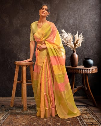 Satrangi Re Organza Banarasi Silk Green & Pink Saree