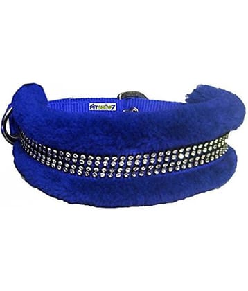 Petshop7 - Navy Blue Dog Collar (Small)