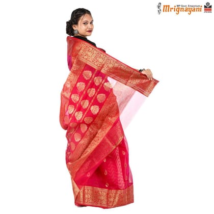 HANDLOOM CHANDERI SILK SAREE WITH BLOUSE (SKU - 1SC112310522, SAREE - 1006)