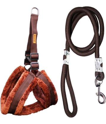Petshop7 - Brown Dog Combo (Large)