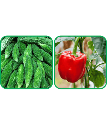 Aero Seeds Capsicum Red ( 30 Seeds) And Bitter Gourd ( 30 Seeds) Vegetable Seeds Pack