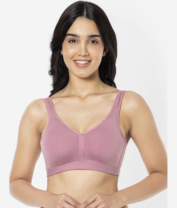 Amante - Purple Cotton Non Padded Women's Everyday Bra ( Pack of 1 )