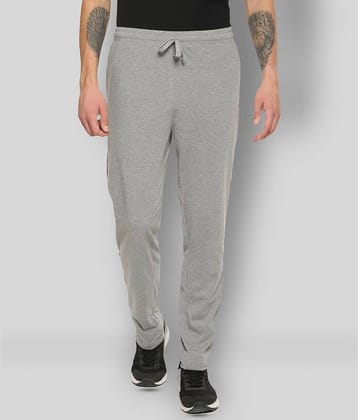 Dollar - Grey Cotton Blend Men's Trackpants ( Pack of 1 )