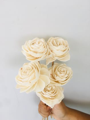 Dahlia Sola Flower (5pcs)