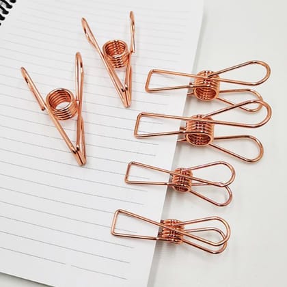 DHRUVINSRI Stainless Steel Multipurpose Sturdy Clothes Hanging Clips