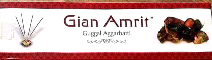 Gian Amrit Guggal Aggarbatti for Pooja & Meditation | Incense Sticks with Holder | Traditional | Perfume | Fusion Fragrances | Pack of 30 |