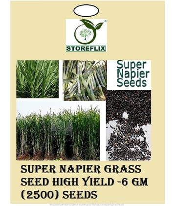 STOREFLIX - Grass Seeds ( SUPER NAPIER GRASS SEED HIGH YiELD (2500)SEEDS6 GM )
