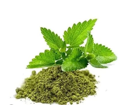 Basil / Tulsi Powder (100gms)