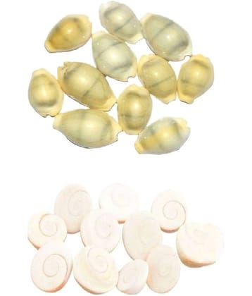 Gomti chakra & Kaudi - 11 Each (Pack of 2)