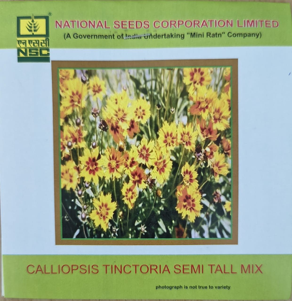 NSC Calliopsis Tinctoria Semi Tall Mix Flower Seed - 5gm