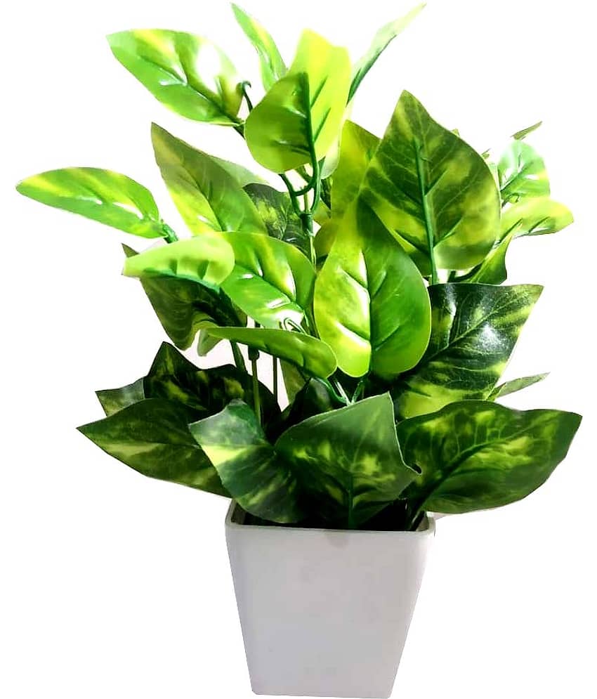 Green plant indoor Artificial Money Plant Multicolour Bonsai Plastic - Pack of 1