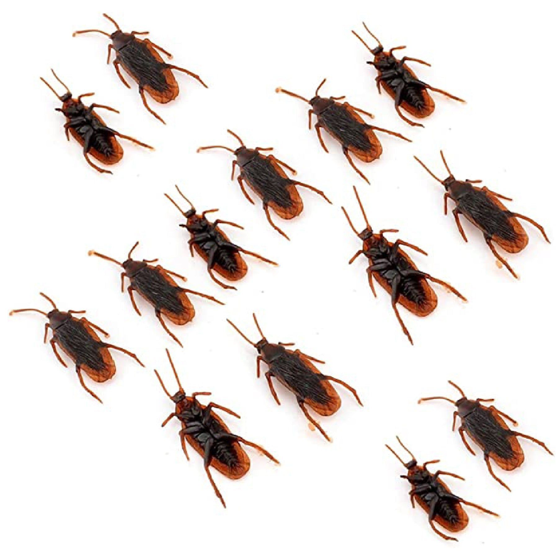 Fake Cockroaches 2.5 inches  - 12PC