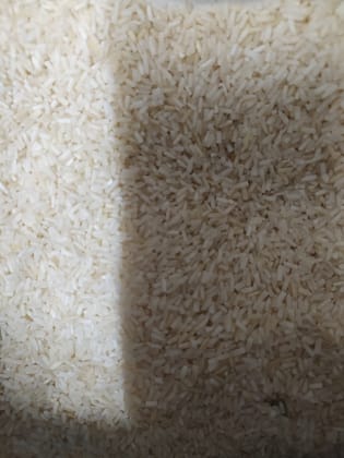 basmati rice 