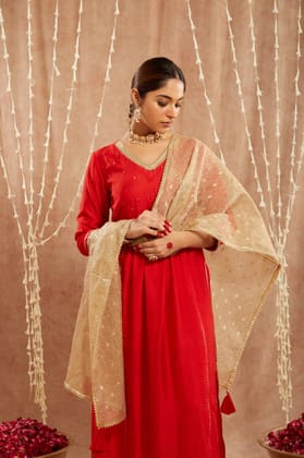 Red Charm Chanderi Kurta with Narrow Pants-XXS / XXS