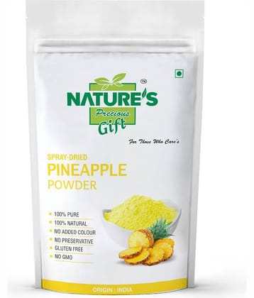 Nature's Gift Pineapple Powder Smoothie 400 gm