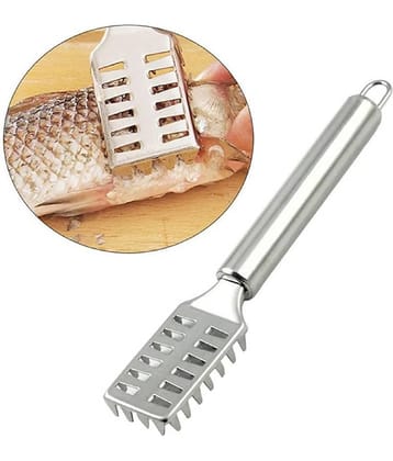 VillWin Silver Stainless Steel Fish Scaler ( Set of 1 )