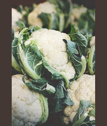 Hybrid Cauliflower Seeds - 50 Seeds Per Pack