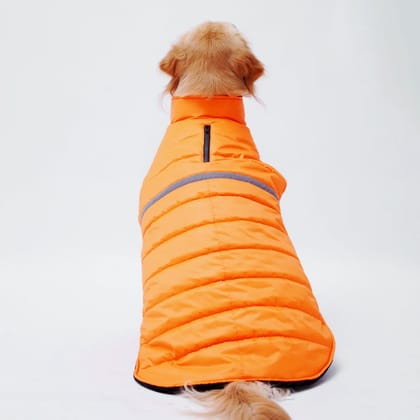 Neon Jacket for Dogs-S / Orange