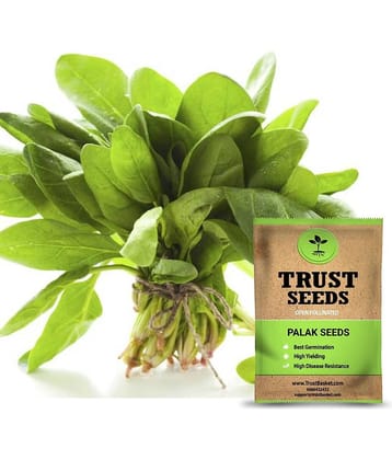 TrustBasket Palak Seeds Spinach OP (15 Seeds)