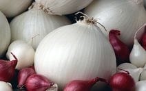 Dehydrated White Onion