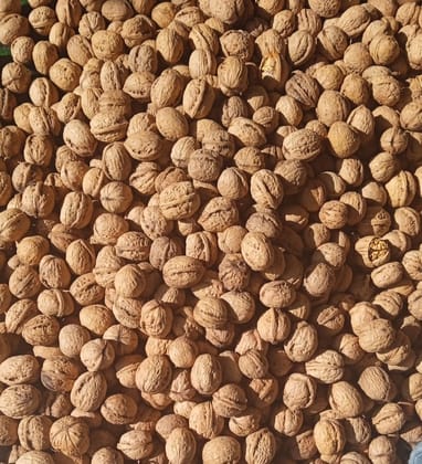 Kashmari Walnut Super 1 KG