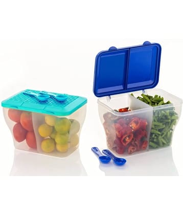 MAGICSPOON Plastic Multicolor Multi-Purpose Container ( Set of 2 )