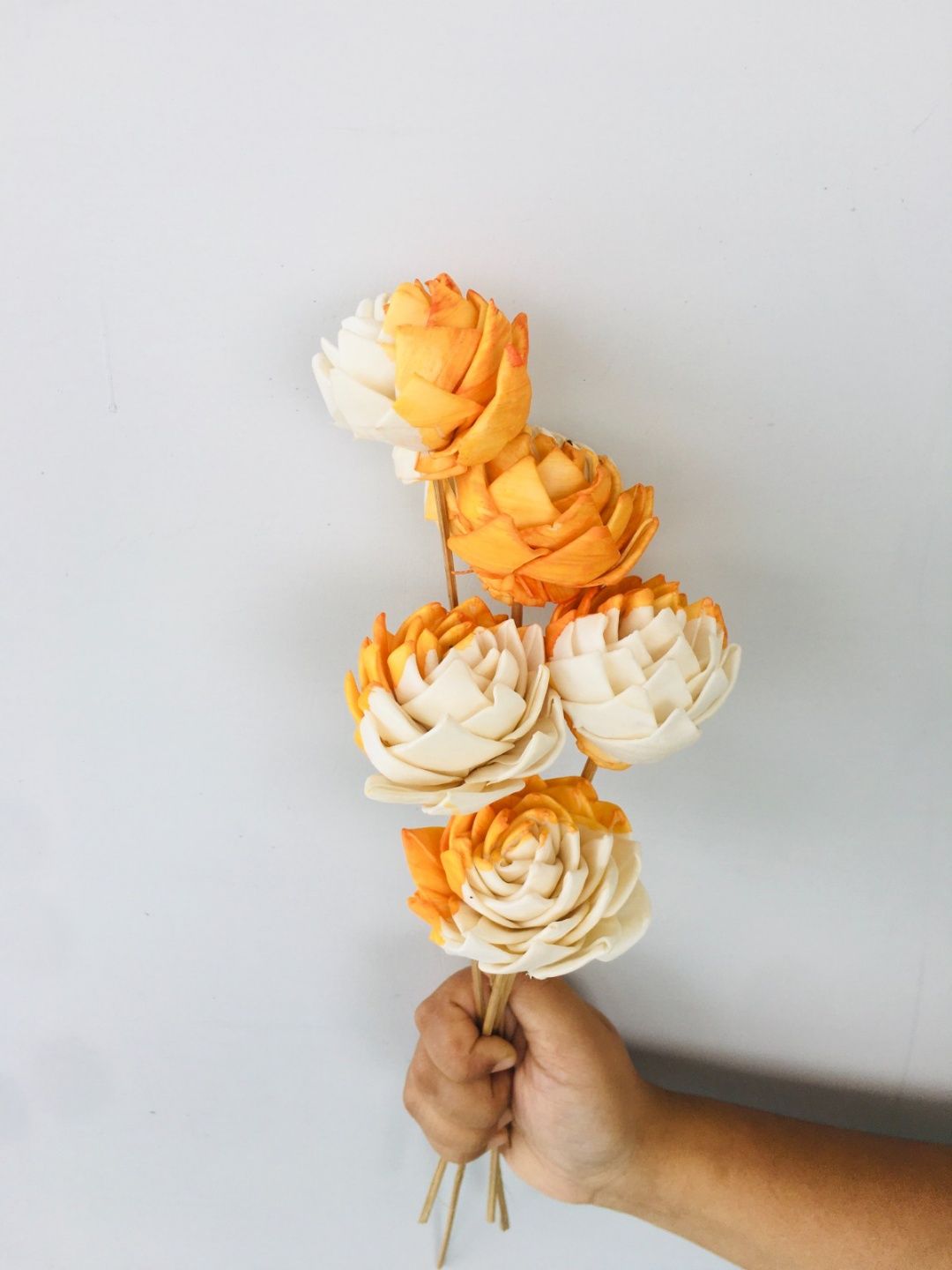 Ochre Sola Flower (5pcs)