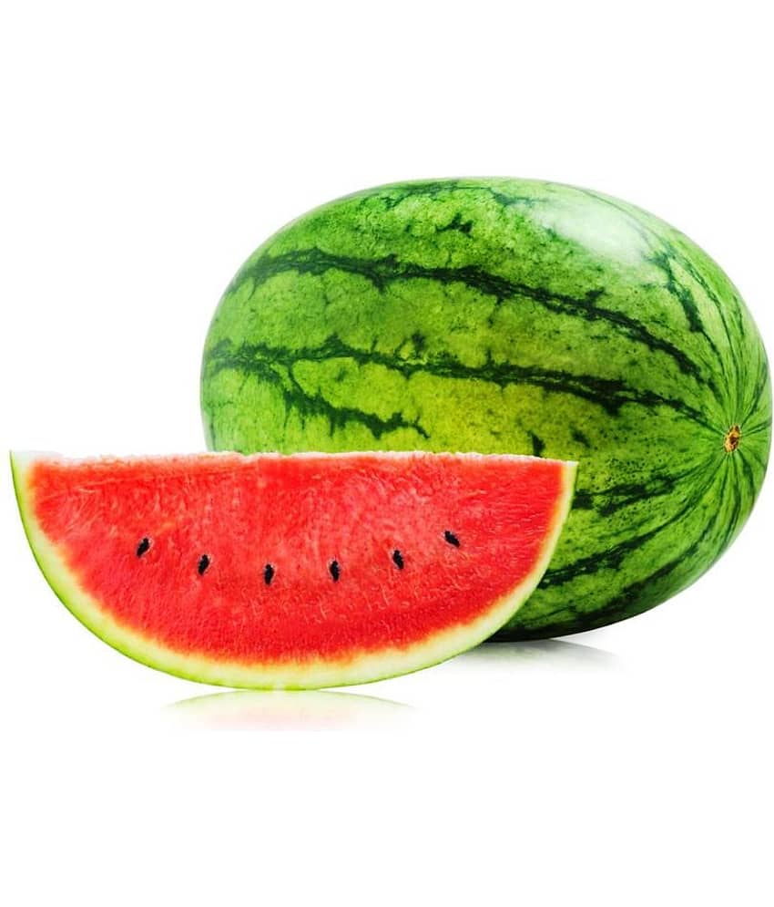 Iris Hybrid Fruit Seeds Watermelon with Instruction Manual