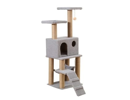 Glenand Cat Scratch Tree