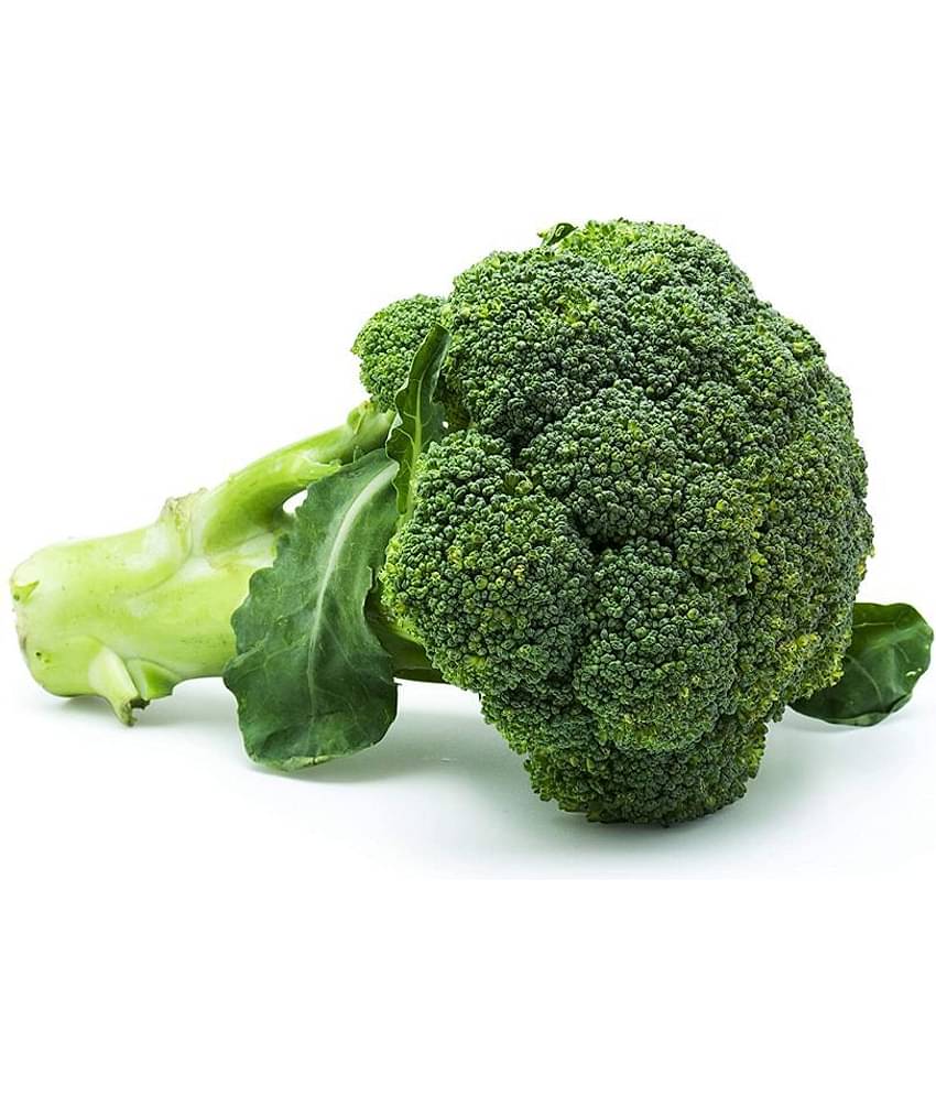 Broccoli Vegetable Seeds (Pack of 40 - seed )