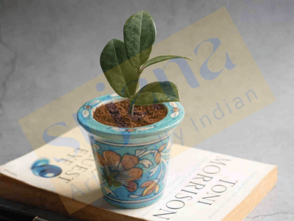 Srjana Handcrafted Blue Pottery Planter 1pc Srjana Handcrafted Blue Pottery Planter 1pc