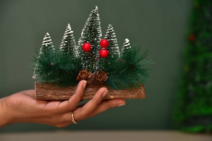 Set of 5 trees Table top Christmas decor Set of 5 trees Table top Christmas decor