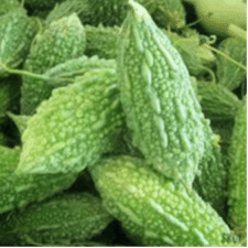 Bitter Gourd Bitter Gourd