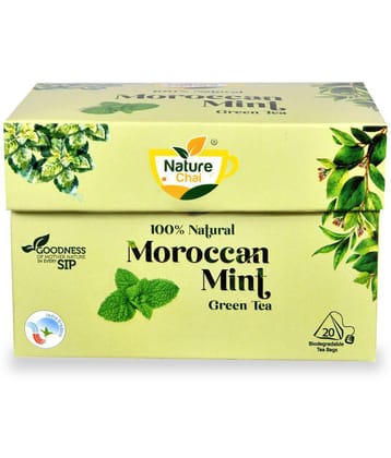 NATURE CHAI Mint Tea Bags 100 gm