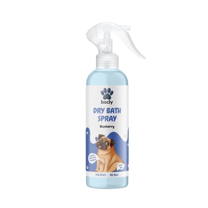Bscly Dry Bath Spray Blueberry, 200 ml Bscly Dry Bath Spray Blueberry, 200 ml