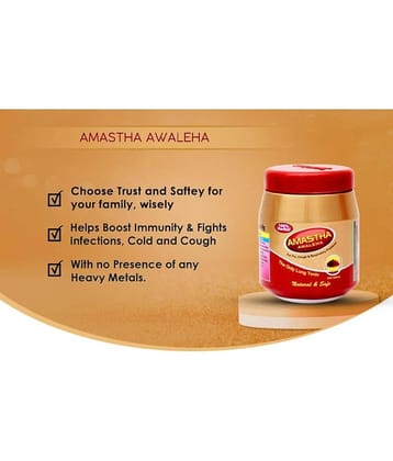 Maheshwari pharmaceuticals AMASTHA AWALEHA 500 GM PACK OF 2