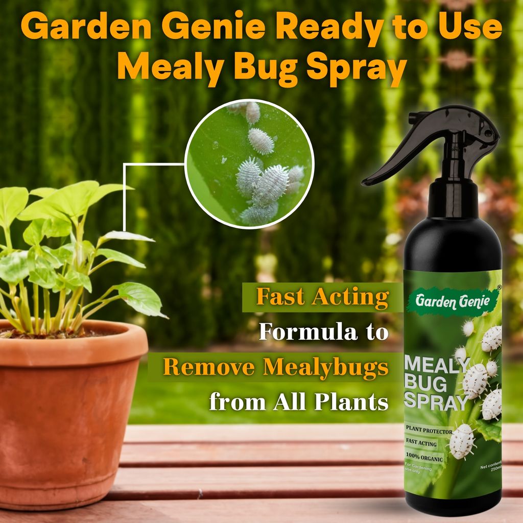 Garden Genie Mealy Bug Killer Spray for Plants 250ml | 100% Natural White Bug Insecticide for Plants Home Garden | No Harmful Chemicals | Pet & Children Safe
