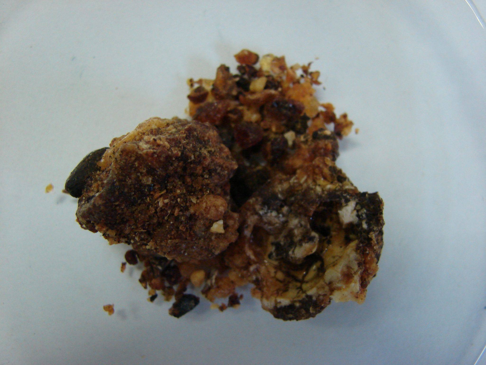GUGGUL/DHOOP 50g