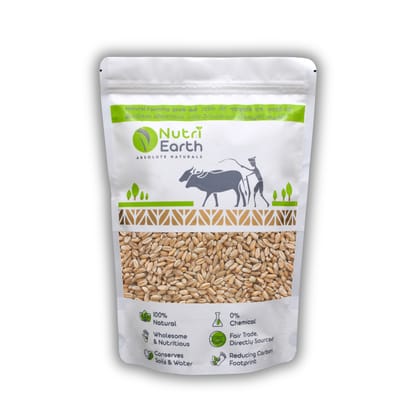 NutriEarth Desi Gehun (Wheat) 10 Kg