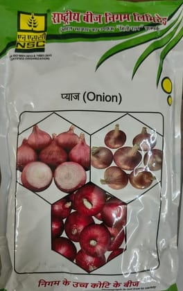 NSC Onion AFLR Seed