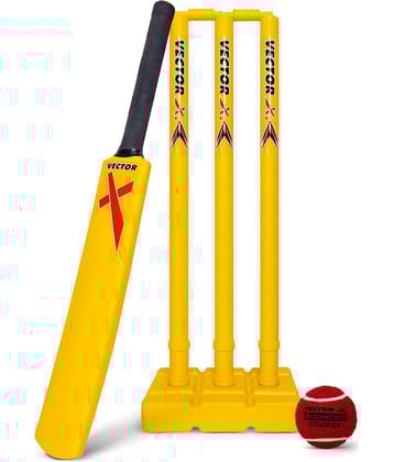 Vector X VT-9304 Plastic Cricket Set - Includes 1 Bat, 1 Soft Ball, Stumps/Wickets with Stand & Bails-with Carry Bag- Perfect for Outdoor Sports & Beach Play for Kids/Youth (Size-4) (7 Years & Above)
