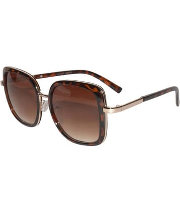 Peter Jones - Brown Square Sunglasses ( RD008DA )